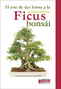 Guia bonsai ficus