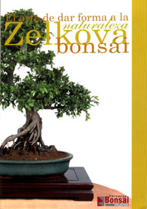 Guia bonsai zelkova