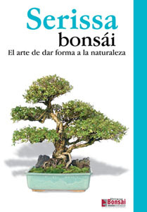 Guia bonsai serissa