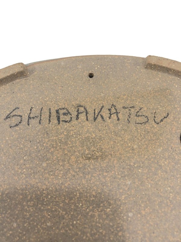 Maceta japonesa Shibakatsu