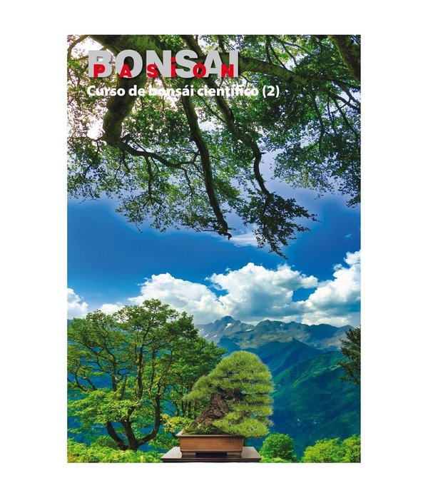 Bonsai Pasion Nº 107