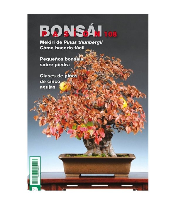 Bonsai Pasion Nº 108