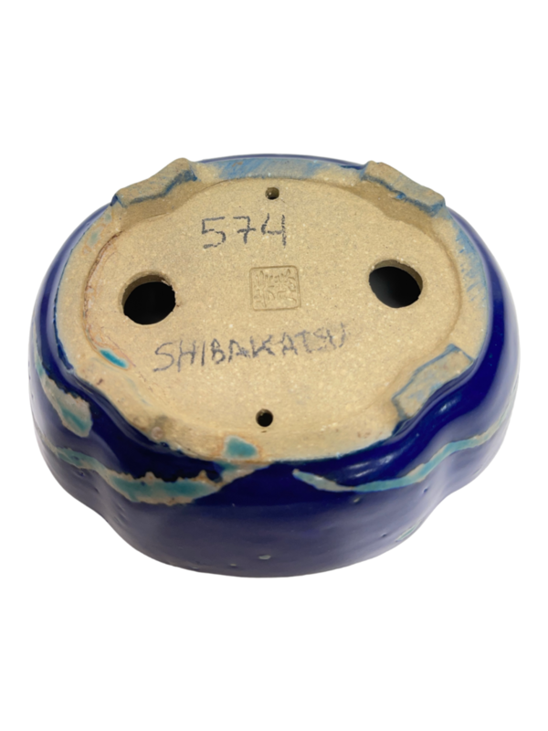 Maceta de ceramica de Autor de Shibakatsu